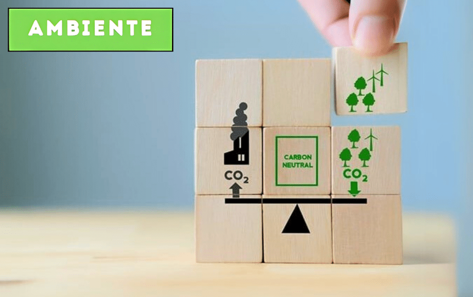 Socfeder è Carbon Neutral